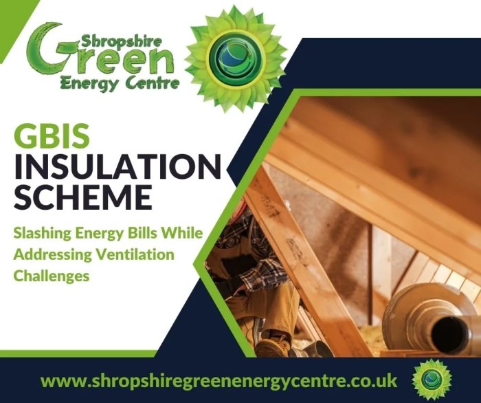 GBIS Insulation Scheme - Slashing Energy Bills While Addressing ...