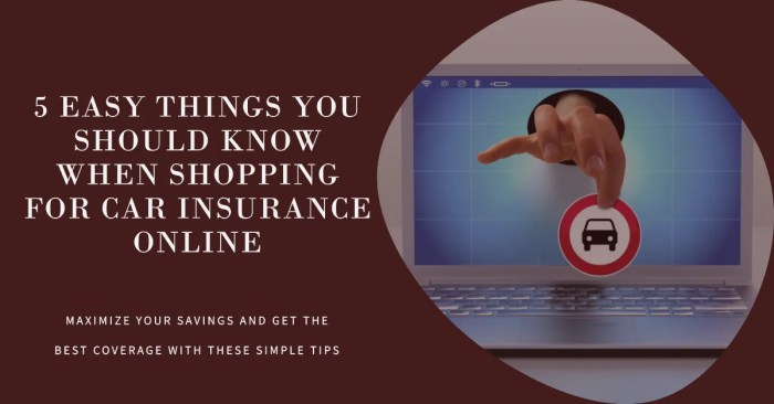 Shopping For Car Insurance Online: 5 Easy Things You Should Know » Mac ...